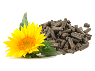 Sunflower meal pellets